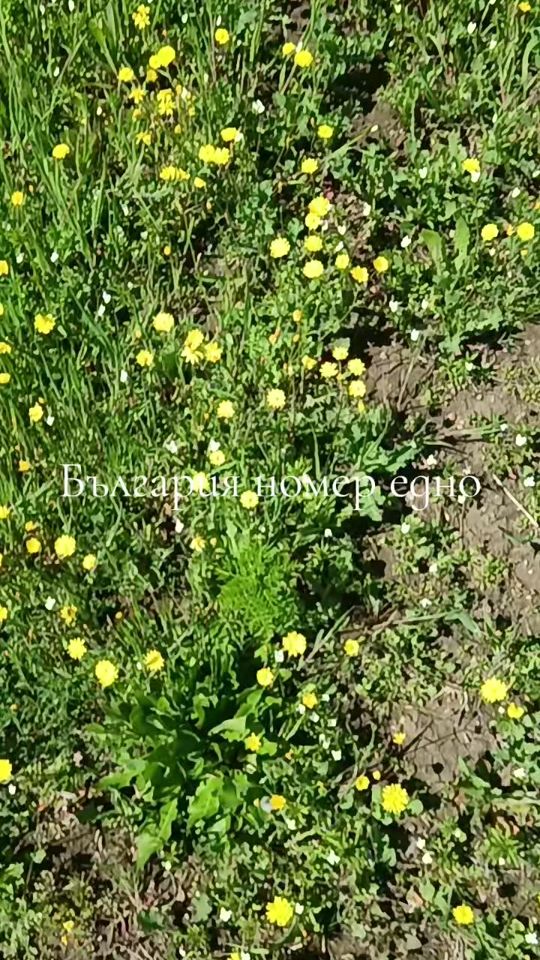 TikTok video thumbnail by user43733331762277