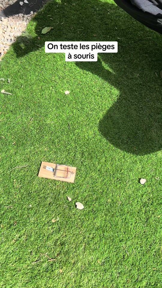 TikTok video thumbnail by emma.fkr