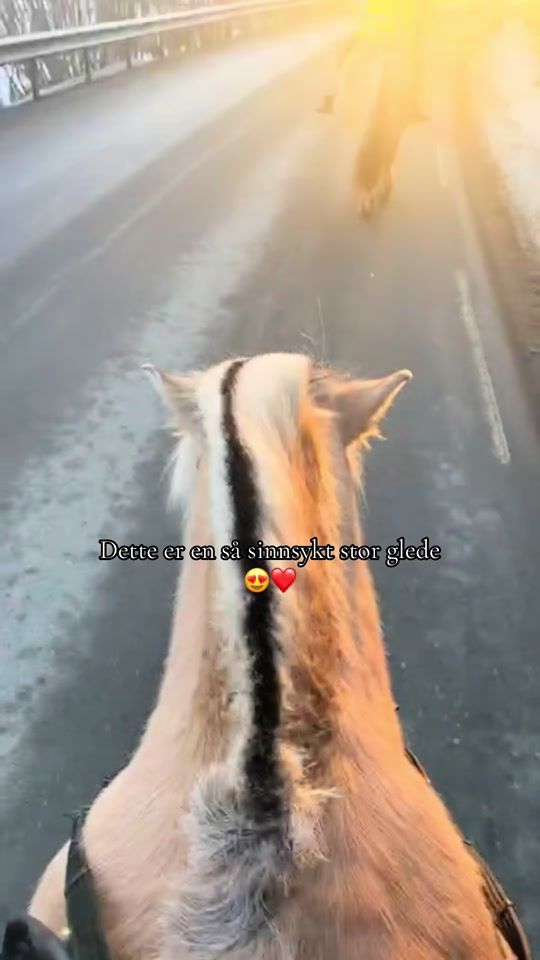 TikTok video thumbnail by masserartogse