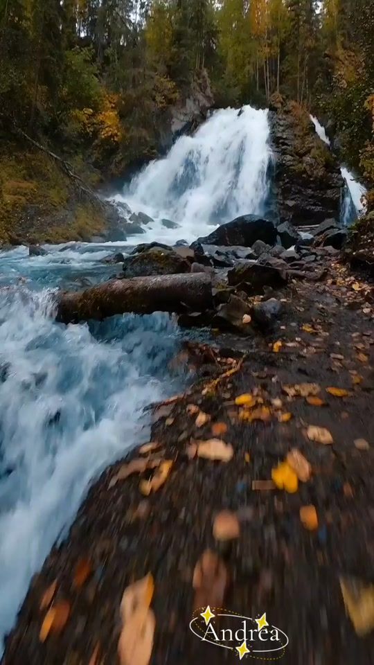 TikTok video thumbnail by andreacorsi298