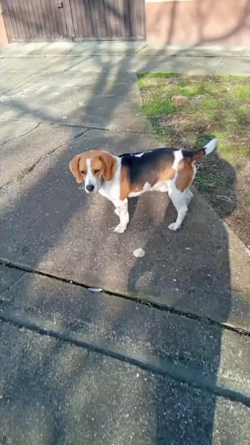 TikTok video thumbnail by lilien.nmet2