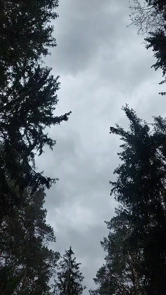 TikTok video thumbnail by daivadjpa