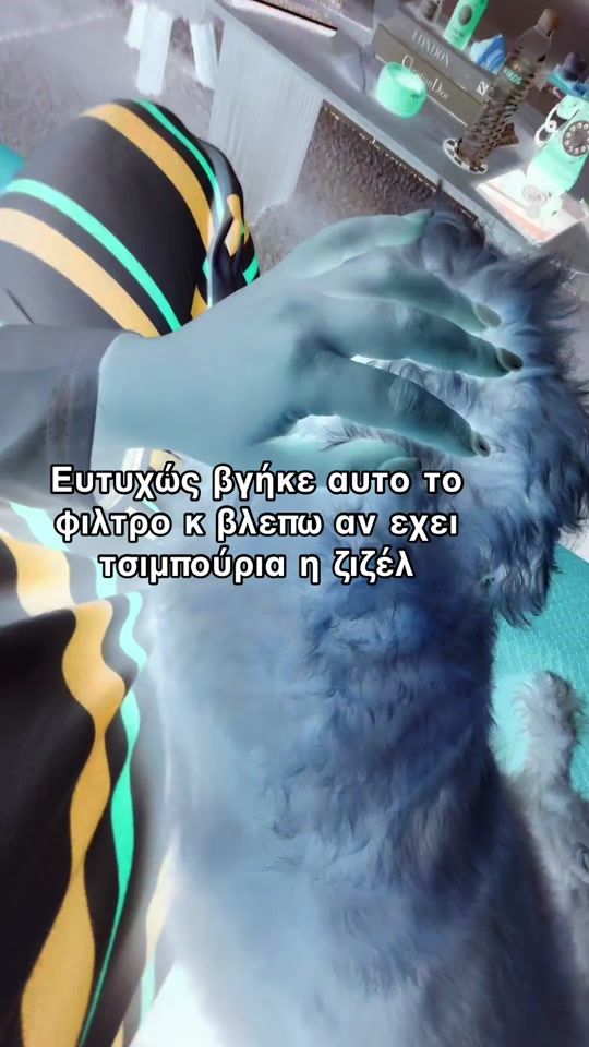 TikTok video thumbnail by jooo.mp