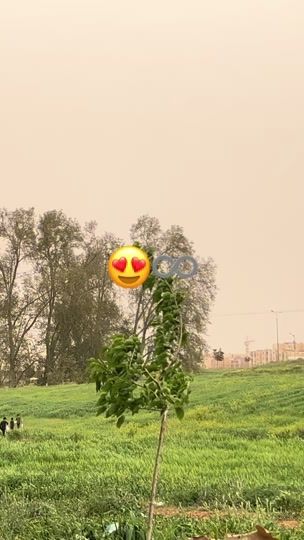 TikTok video thumbnail by mxh4____