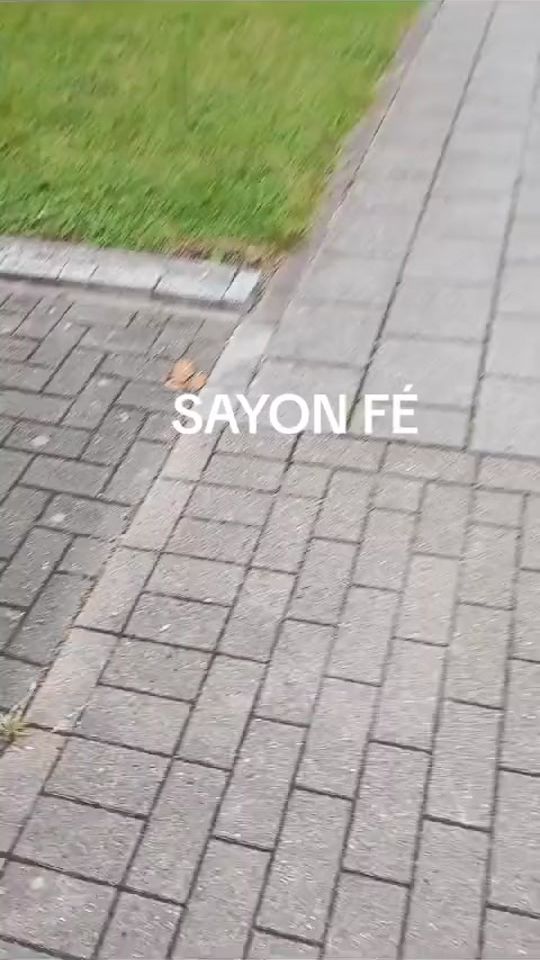 TikTok video thumbnail by papuschellajunior