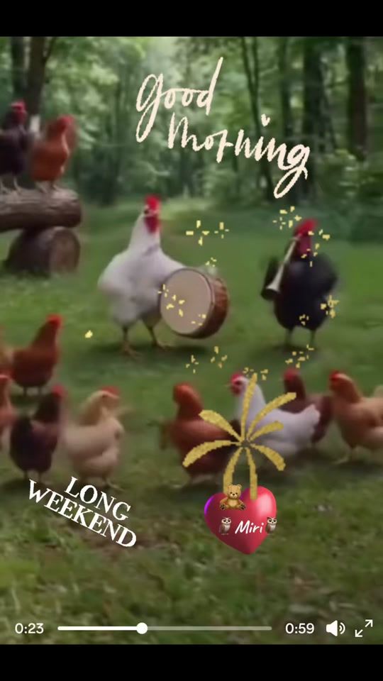 TikTok video thumbnail by eule.70