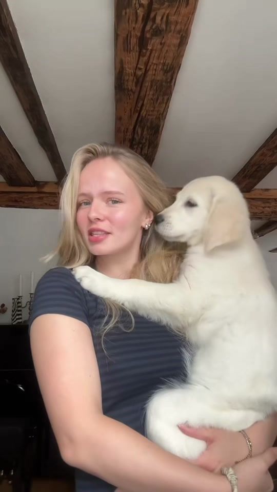 TikTok video thumbnail by wemmse