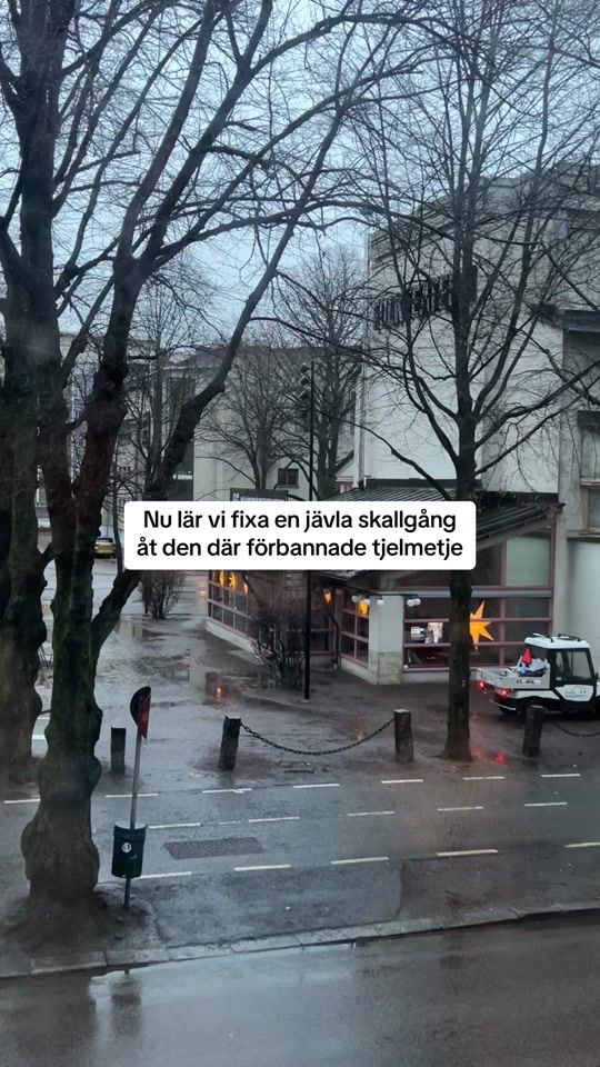 TikTok video thumbnail by sofiegullstrom