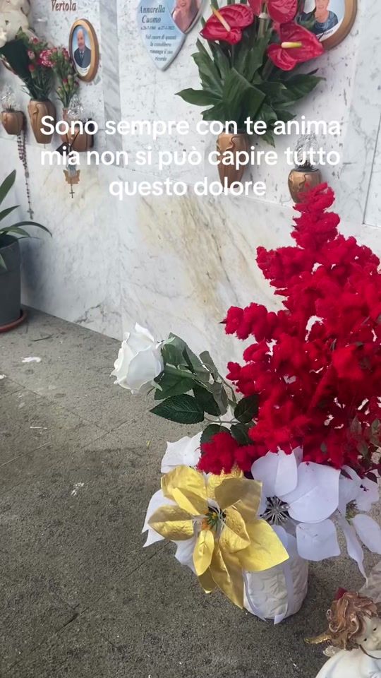 TikTok video thumbnail by annaminieri75