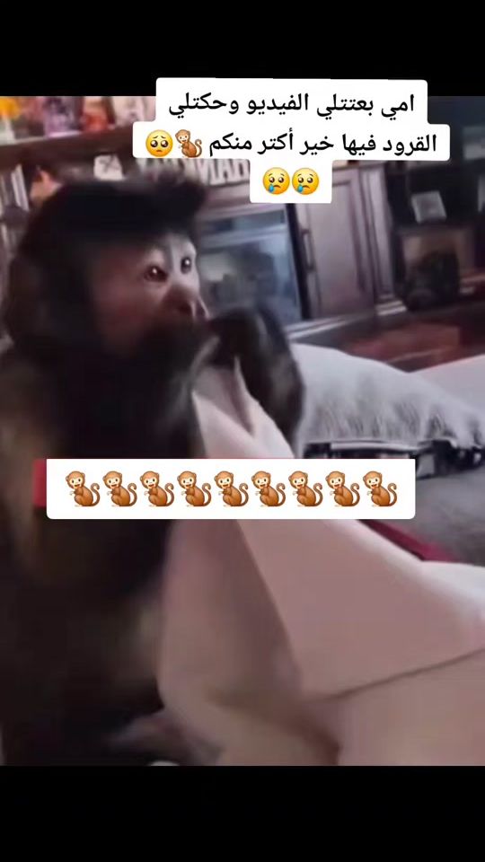 TikTok video thumbnail by 1za_ha2