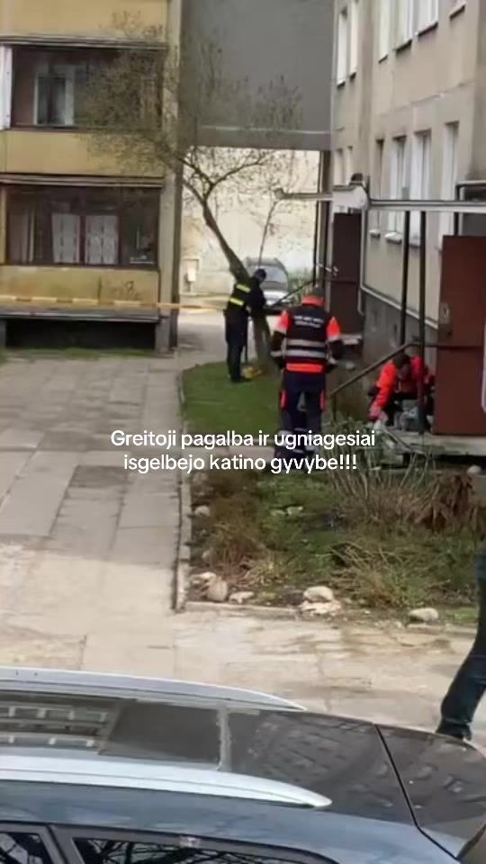 TikTok video thumbnail by ne.vasaris