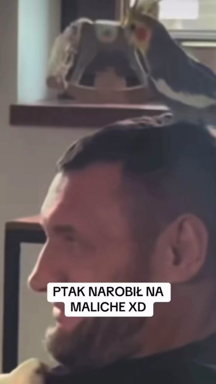 TikTok video thumbnail by koliszoty