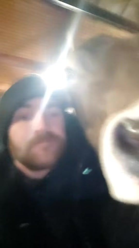 TikTok video thumbnail by funkenbauer