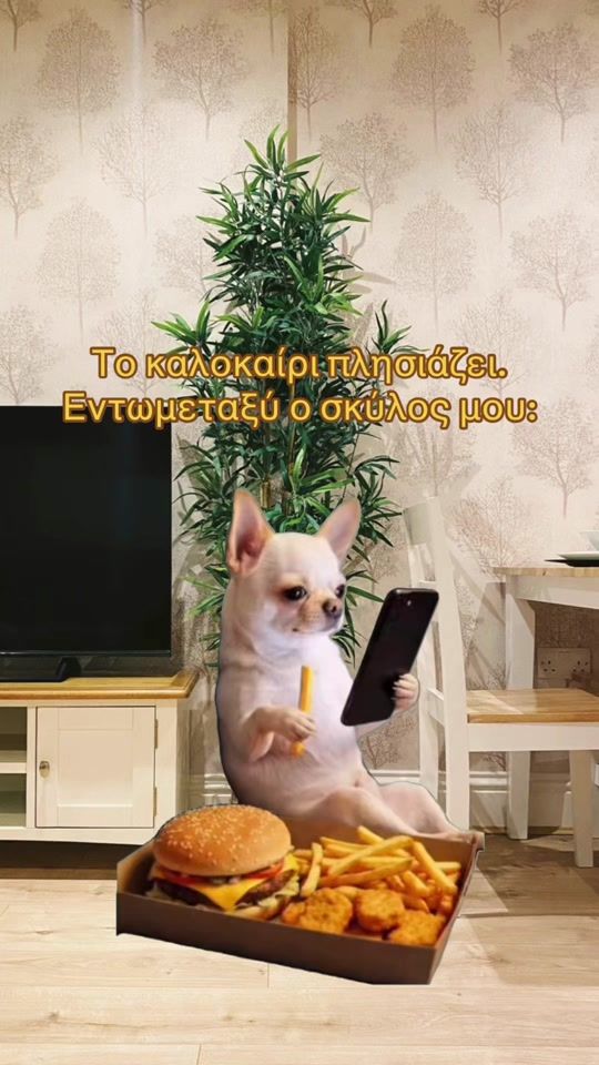 TikTok video thumbnail by acana_gr