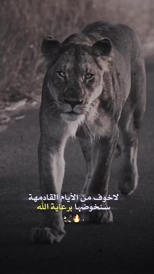 TikTok video thumbnail by alasad__0