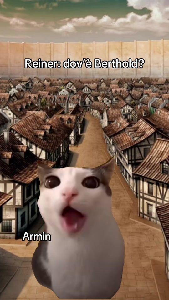 TikTok video thumbnail by valentine.mt9