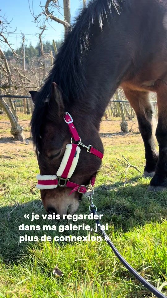 TikTok video thumbnail by l.3aa80