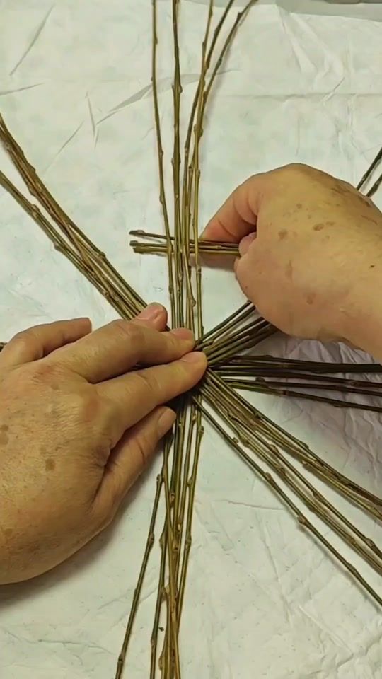 TikTok video thumbnail by pok28244