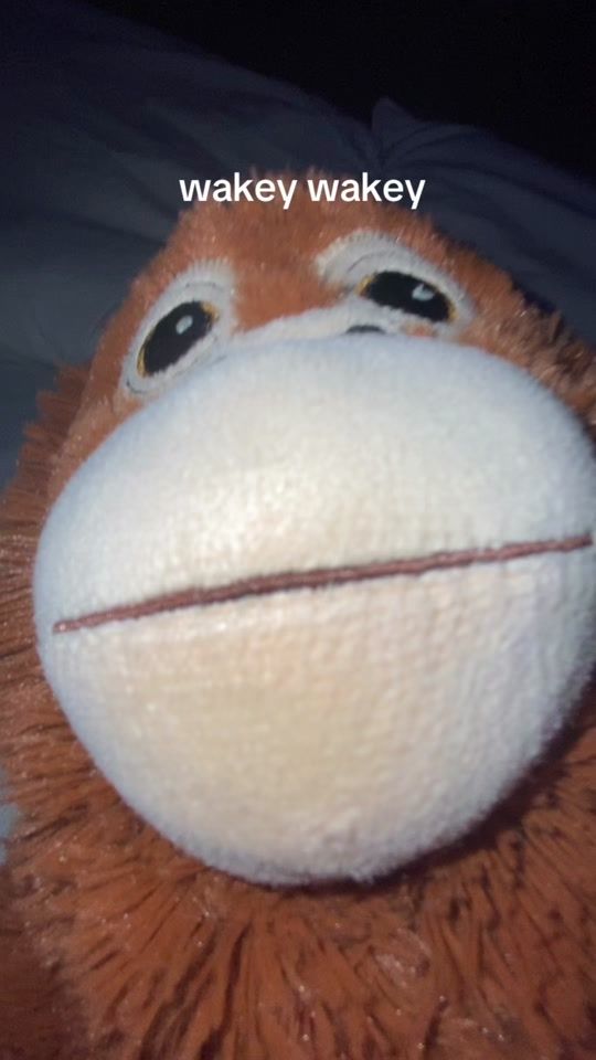 TikTok video thumbnail by itsmikomonkey