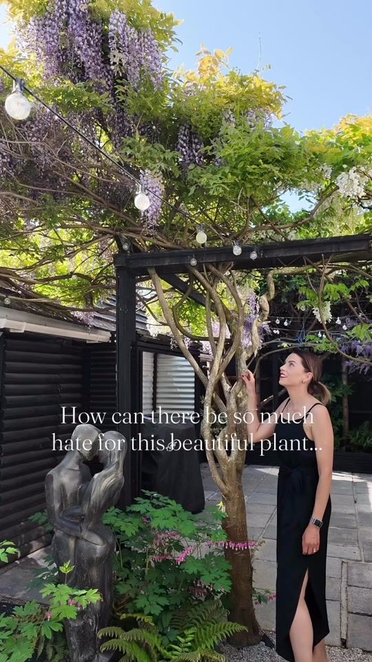 TikTok video thumbnail by lookinsidemygarden