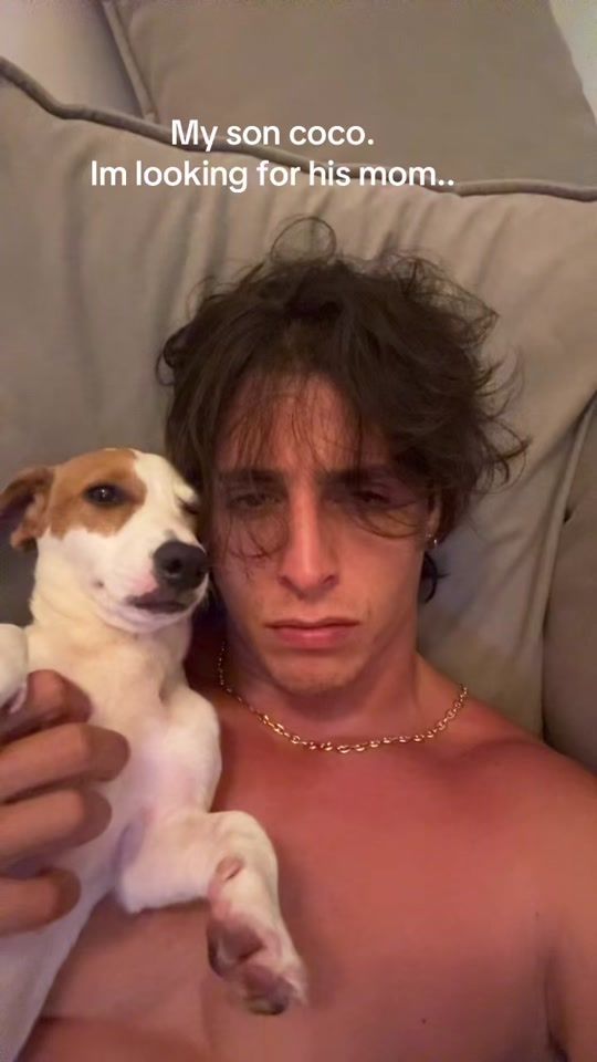 TikTok video thumbnail by gattouze