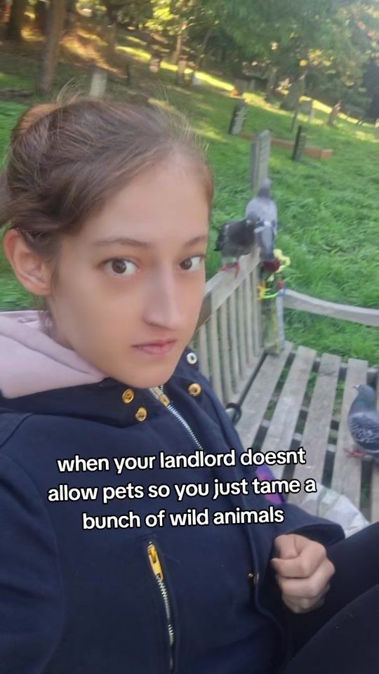 TikTok video thumbnail by somethingschangedbutidk