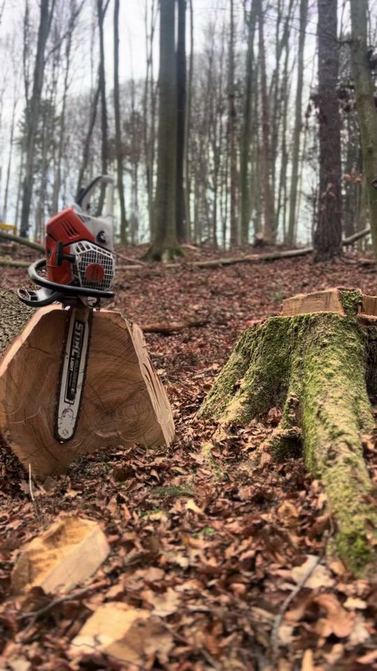 TikTok video thumbnail by robertgruber25