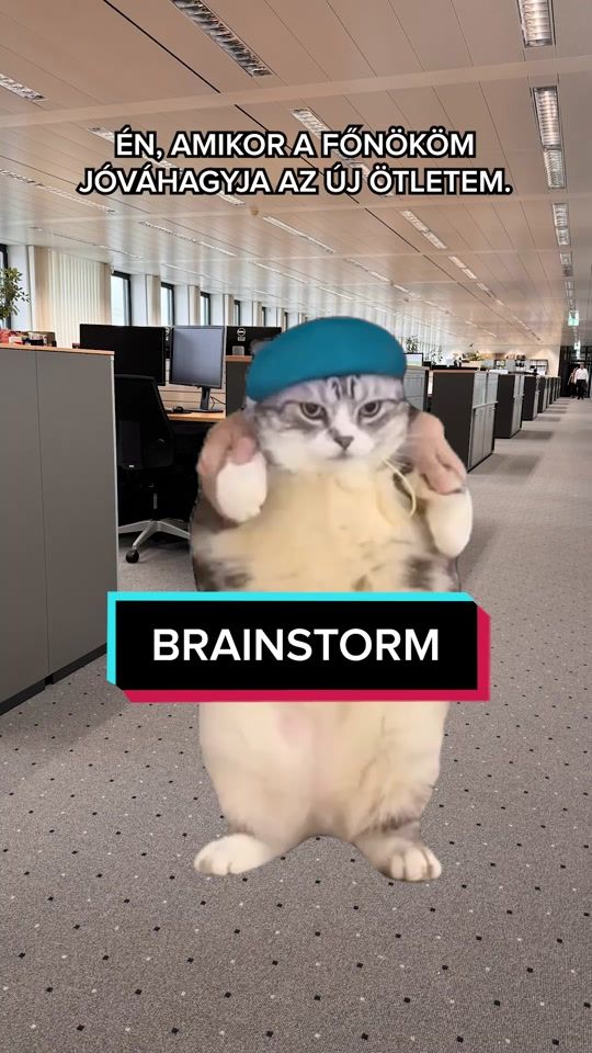 TikTok video thumbnail by aldi.magyarorszag
