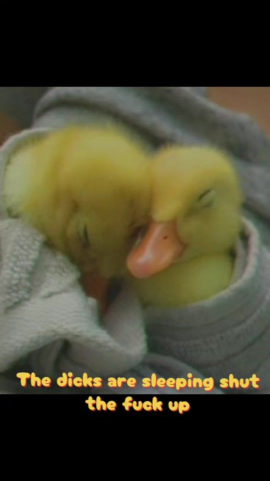 TikTok video thumbnail by adricka05