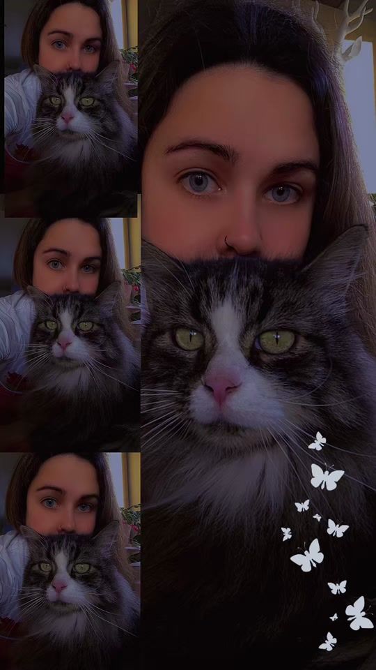 TikTok video thumbnail by _.blue.berry_34