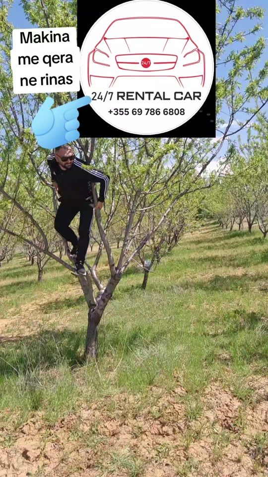 TikTok video thumbnail by nje_mbremje_plot_argetim
