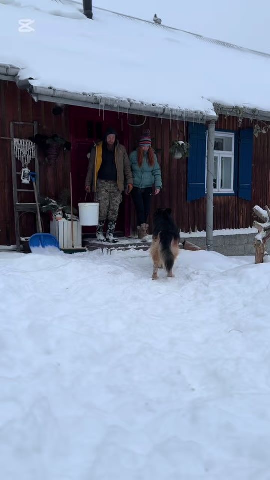 TikTok video thumbnail by domsloncaiowcy