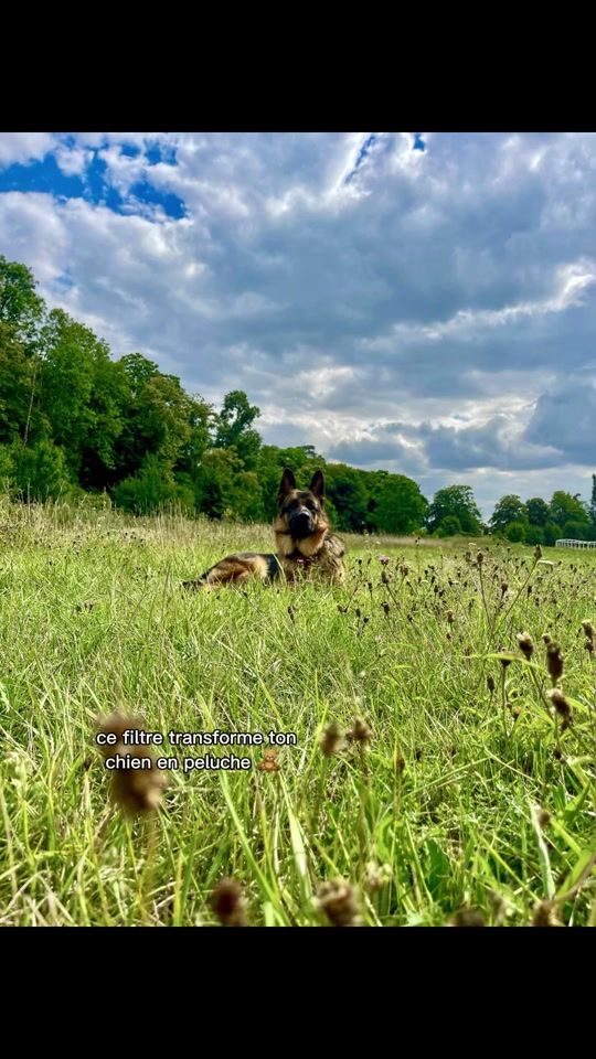 TikTok video thumbnail by braco090623