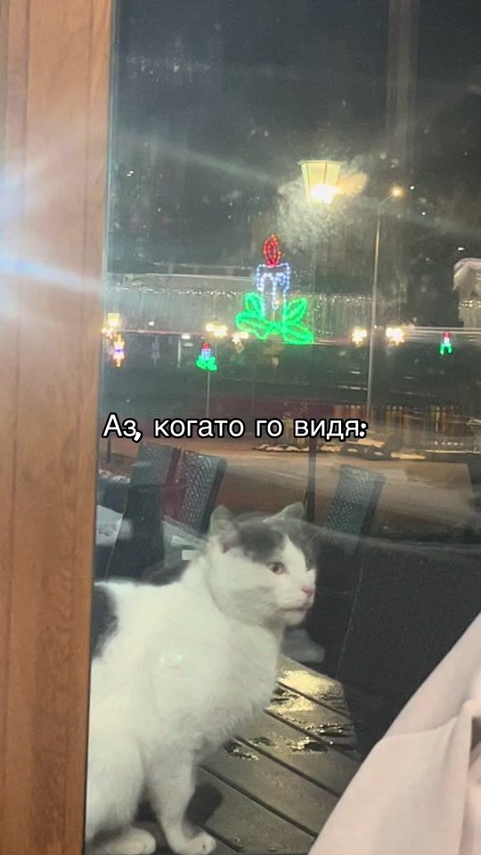 TikTok video thumbnail by ivaylovaa_