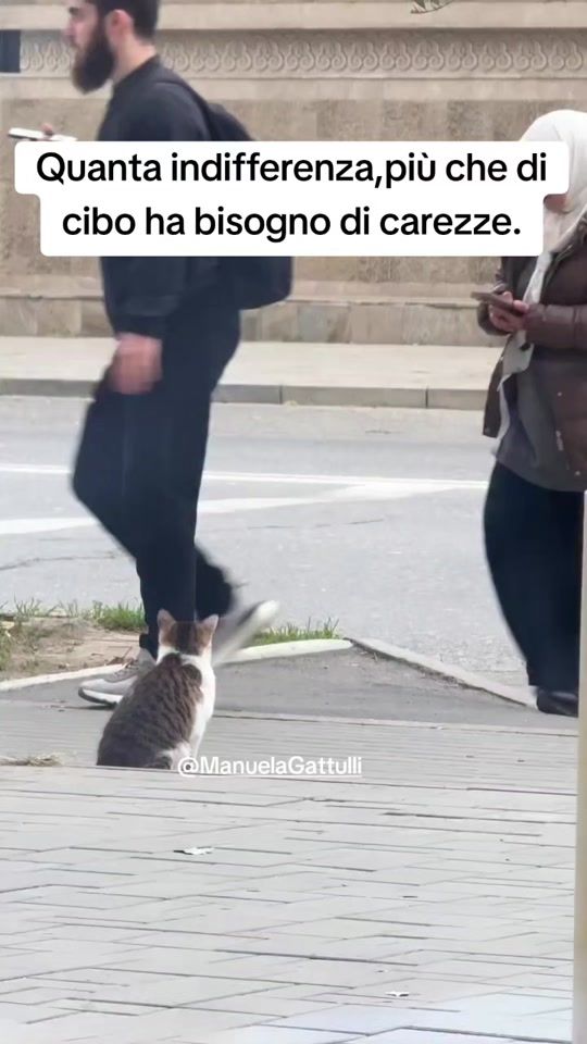TikTok video thumbnail by manuelagattulli