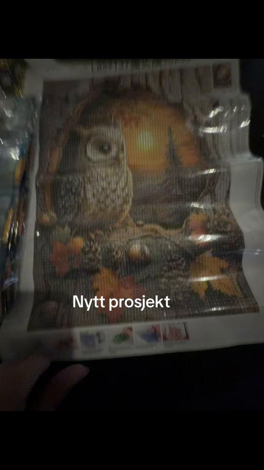 TikTok video thumbnail by annkristinholm1