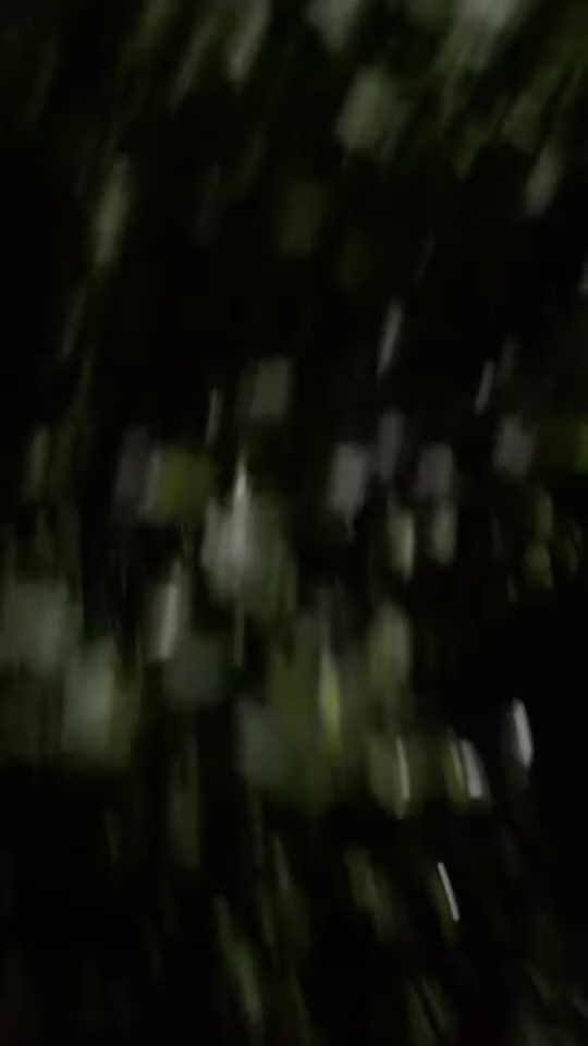 TikTok video thumbnail by oliver.farrowtait