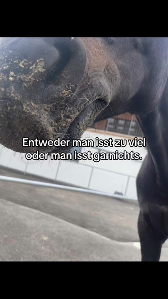 TikTok video thumbnail by idk.anonym1