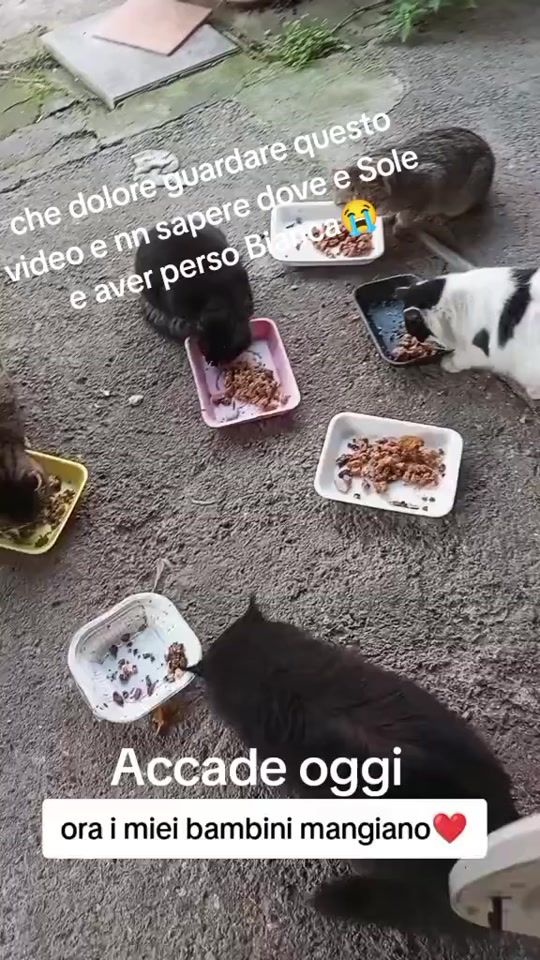 TikTok video thumbnail by la.rosa.rossa7