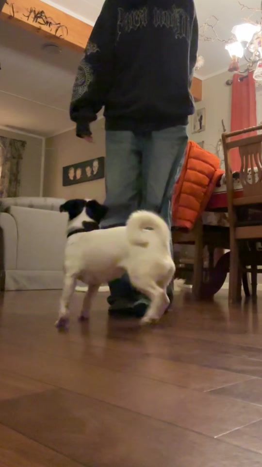 TikTok video thumbnail by laila_jrt