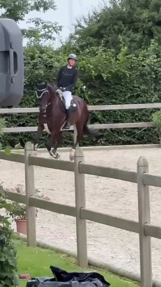 TikTok video thumbnail by ms_showjumping