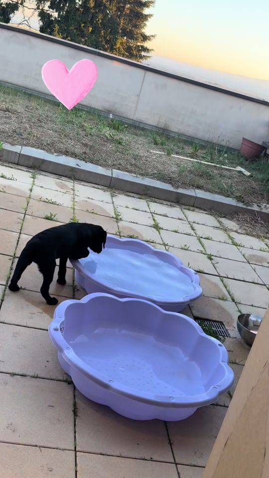 TikTok video thumbnail by sue.spect
