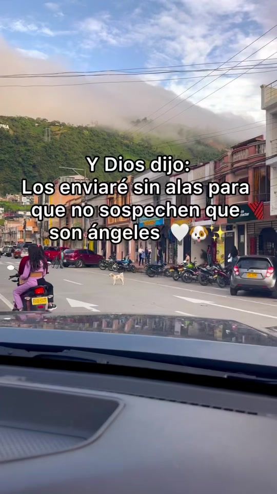 TikTok video thumbnail by alejaayuda