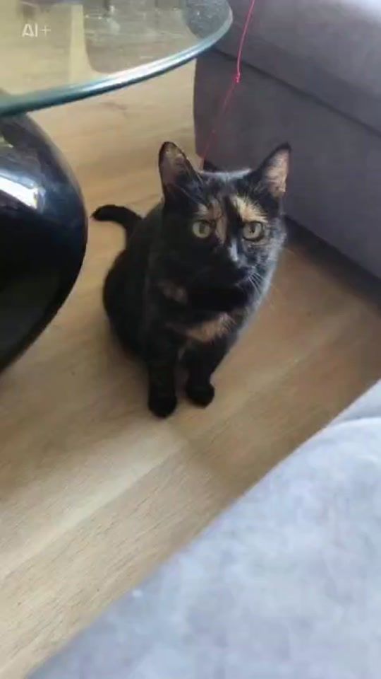 TikTok video thumbnail by donnerstag654321