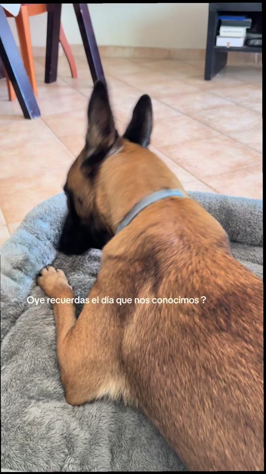 TikTok video thumbnail by lobalobita87