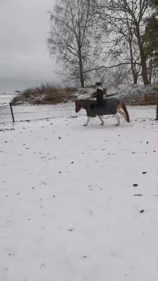 TikTok video thumbnail by emmi_eq1
