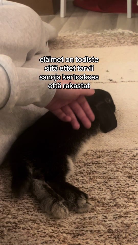 TikTok video thumbnail by elmaantila