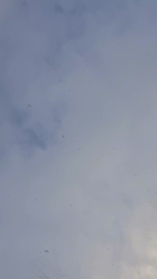 TikTok video thumbnail by sawasdeesweden