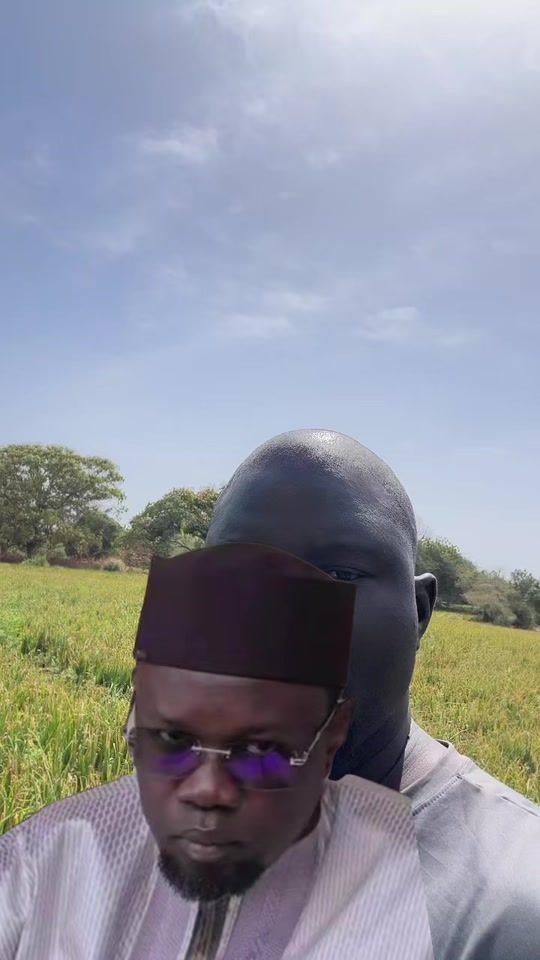 TikTok video thumbnail by dawour.agri