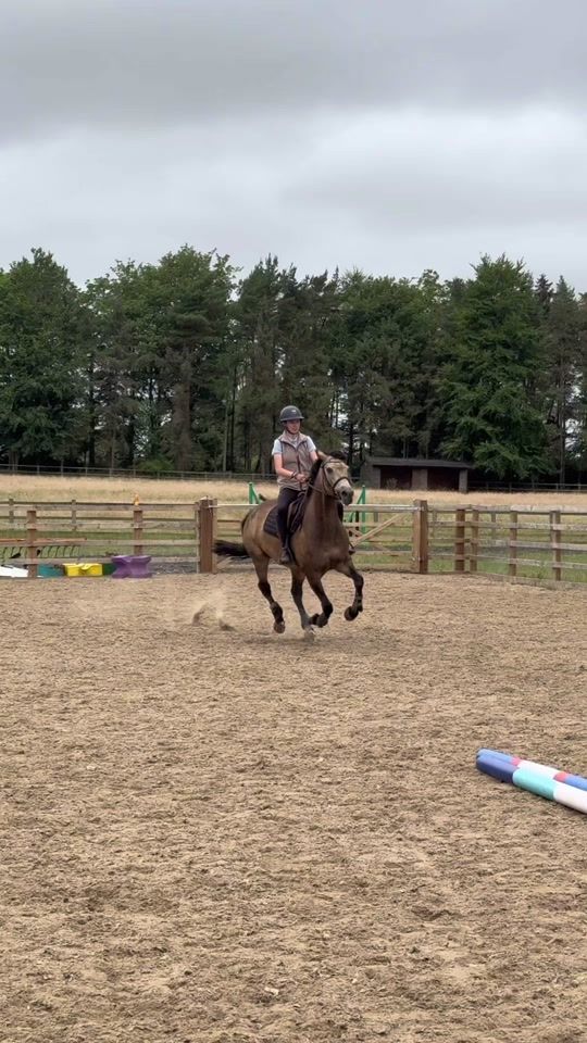 TikTok video thumbnail by rubytetlowshowjumping
